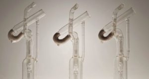 Vascular Surgery Chronicles: Charles Lindbergh and Alexis Carrel: Strange Bedfellows