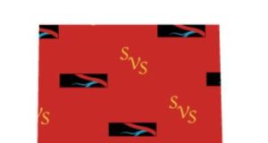 New at 2013 Vascular Annual Meeting: SVS Logo Ties, Bowties, and Scarves