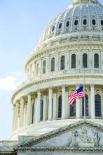 Washington Update: SVS Washington Office Works to Help Members, Patients