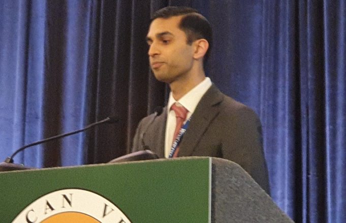 Deep venous stenting presents advantage over ablation in achieving better ulcer healing rates, AVF 2020 told