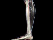 Experiences with the BEST-CLI trial