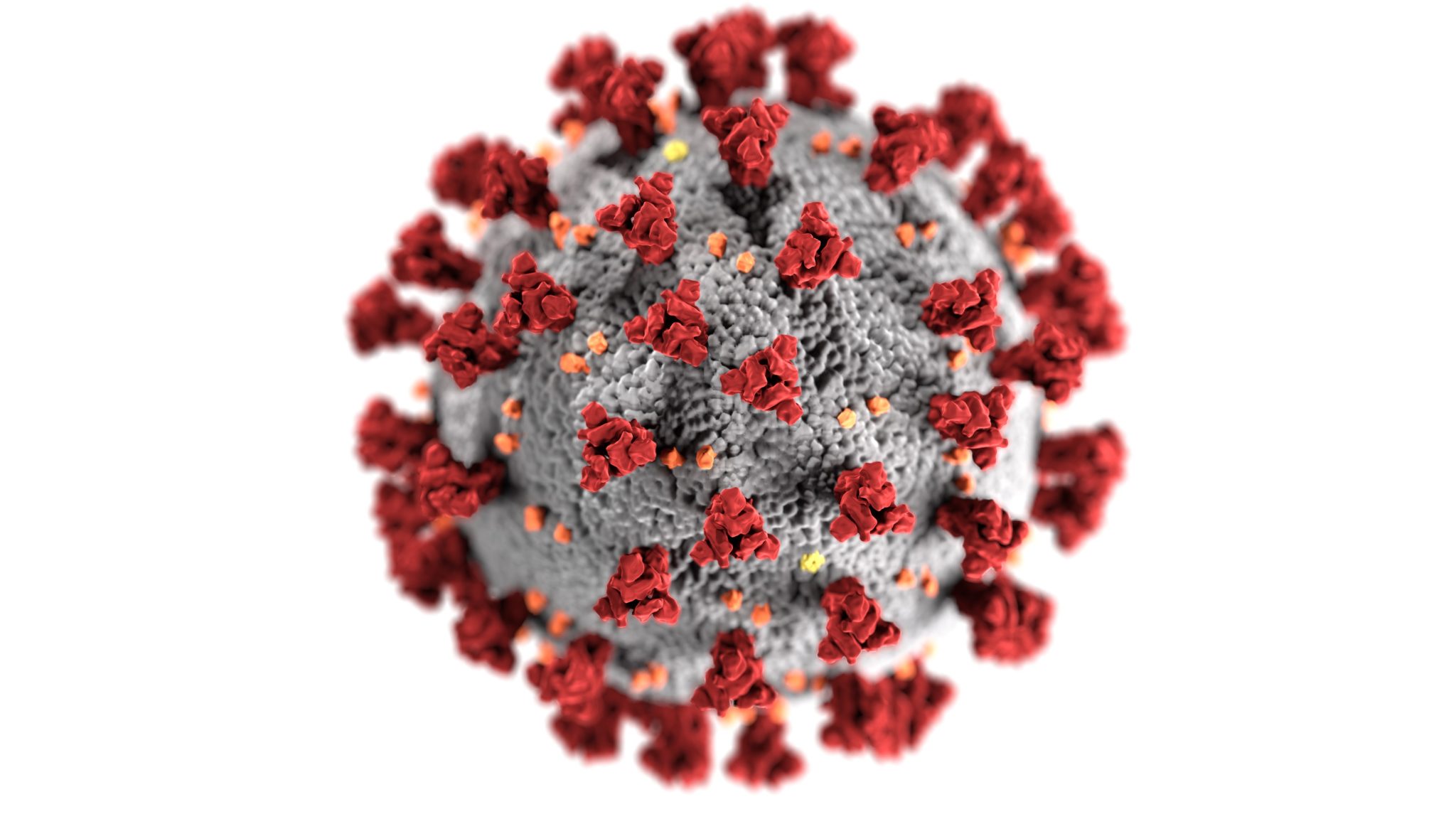 VESS: Vascular surgeons urged to avoid admissions not ‘immediate’ threat to life and limb amid coronavirus pandemic