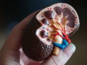 Study shows increase in risk of renal failure following lytic therapy for acute DVT