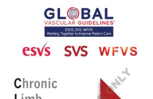 Quality: Global Vascular Guidelines pocket guide coming soon