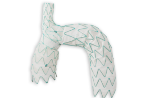 FDA grants Nexus aortic arch stent graft system breakthrough designation