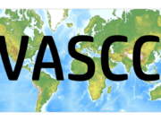 Registry launches pair of studies on vascular complications related to COVID-19