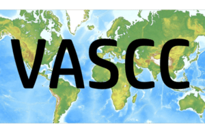 Registry launches pair of studies on vascular complications related to COVID-19