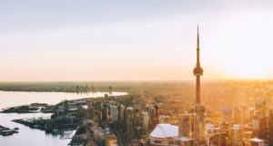 Official: SVS cancels VAM