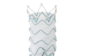 Treo IDE primary endpoint results announced