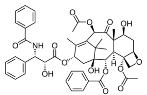New long-term data of paclitaxel devices continue to show no increased mortality compared to non-drug coated devices