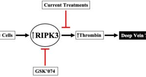 Resident Research Award: Extracellular vesicles enhance DVT via RIPK3