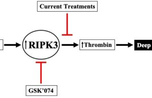 Resident Research Award: Extracellular vesicles enhance DVT via RIPK3
