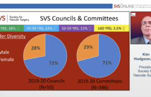 SVS in transition: A look back, a look ahead