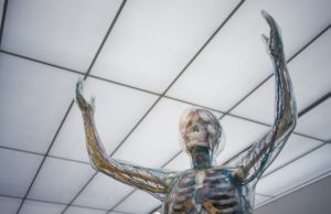 Earn precious CMEs and MOCs at SVS ONLINE