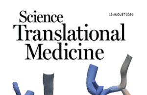 Artery-to-vein AVF technique found to improve hemodynamics, increasing maturation and patency
