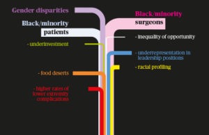 Diversity, equity and inclusion: Disparities in medicine and vascular surgery