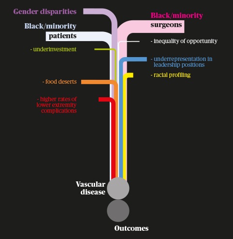 Diversity, equity and inclusion: Disparities in medicine and vascular surgery