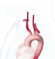 Inaugural CX Aortic Vienna to take place online