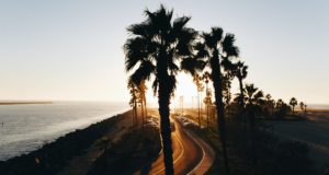 Coming up: VRIC and VAM 2021 submission portals set to open