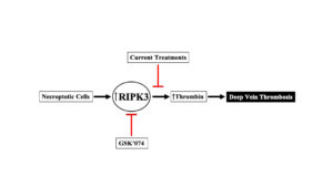 Resident Research Award deadline moved to Feb. 17