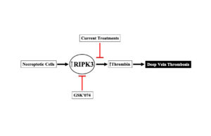 Resident Research Award deadline moved to Feb. 17