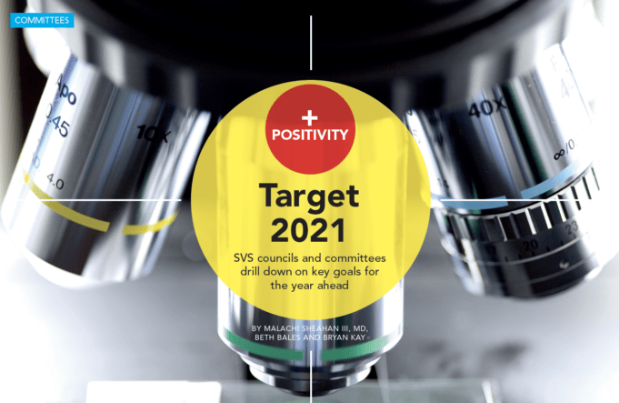 Target 2021: SVS councils and committees drill down on key goals for year ahead (Part 1)