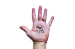 SVS Foundation’s new initiative to address disparities in vascular health