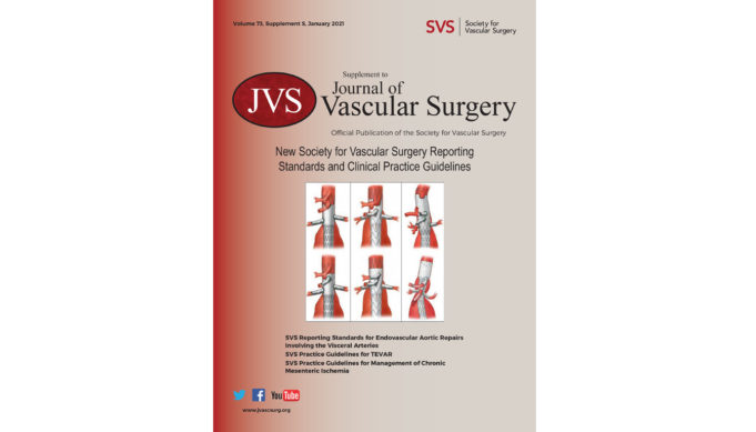Journal supplement outlines updated clinical practice guidelines, reporting standards
