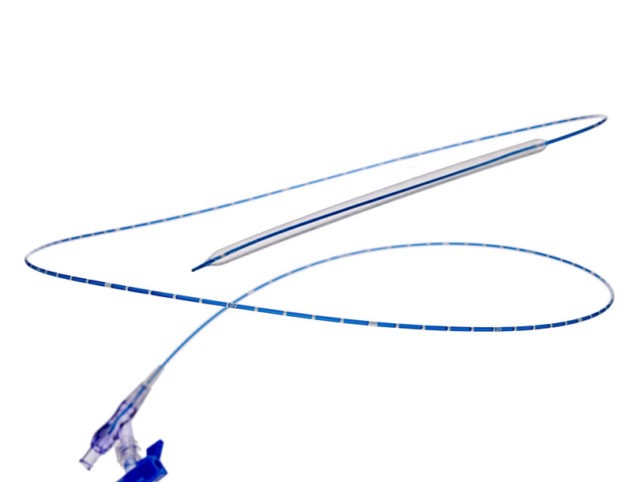 FDA panel recommends against premarket approval of Lutonix 014 DCB for BTK use
