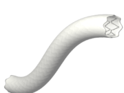 First patient treated in the BeGraft FEVAR study aimed at providing evidence for on-label use