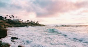 SVS continues to plan in-person VAM