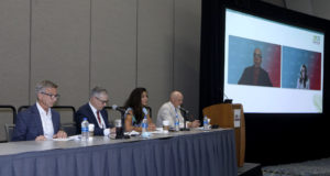 VAM discussion on latest paclitaxel meta-analysis yields mix of caution, skepticism