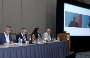 VAM discussion on latest paclitaxel meta-analysis yields mix of caution, skepticism