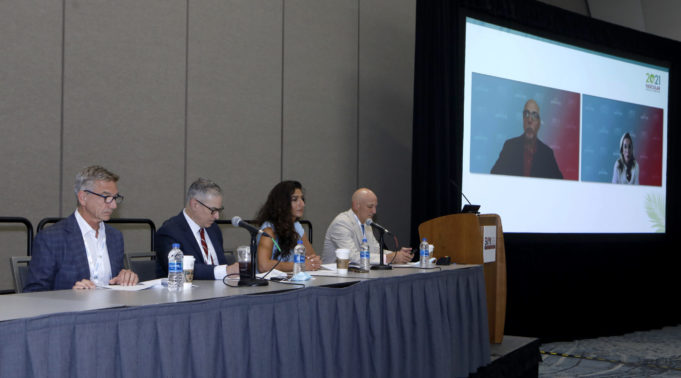 VAM discussion on latest paclitaxel meta-analysis yields mix of caution, skepticism