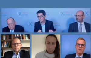 Physicians, industry urged to tackle multifactorial stroke risk following thoracic endovascular procedures