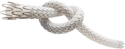 Endologix announces completion of enrollment in TORUS 2 study for PAD in SFA