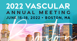 Members involved in suggesting topics for VAM 2022 sessions