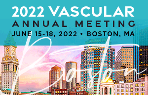 Members involved in suggesting topics for VAM 2022 sessions
