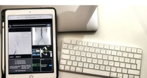 Miss the SVS webinars? Take advantage of the recordings