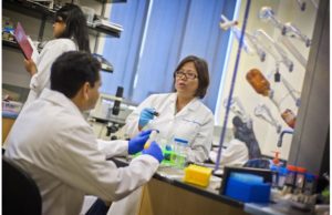 New project will develop nanoparticles with imaging and medicine-delivery capabilities to better treat PAD