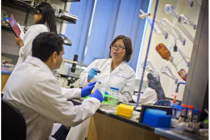 New project will develop nanoparticles with imaging and medicine-delivery capabilities to better treat PAD