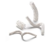 First patient enrolled in Wrapsody endoprosthesis registry study
