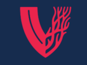 VAM 2023: Apply for international scholars program by Dec. 31