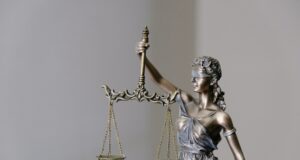 SVS seeks volunteers for open committee slots