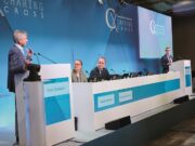 Vascular community split over ‘death’ of traditional carotid stenting