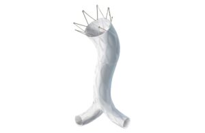 Five-year results of the LEOPARD trial published in the Journal of Vascular Surgery LEOPARD