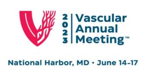 Mix and mingle at SVS Connect@VAM