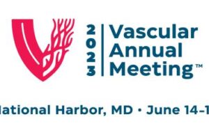 Mix and mingle at SVS Connect@VAM