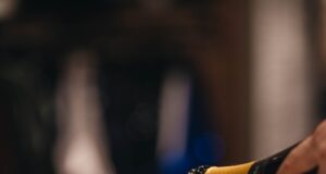 Last hours to bid on Gala Auction items