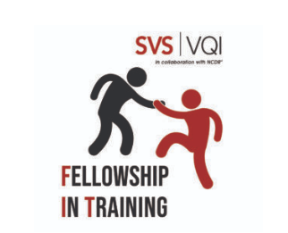 VQI Fellows in Training program marks one year